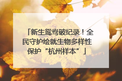 新生鸳鸯破纪录！全民守护绘就生物多样性保护“杭州样本”