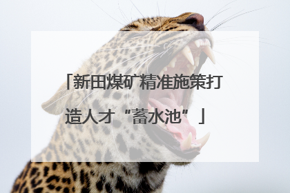 新田煤矿精准施策打造人才“蓄水池”