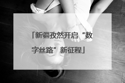 新疆孜然开启“数字丝路”新征程