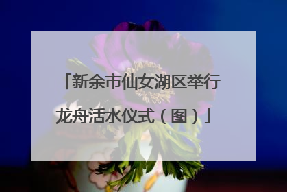 新余市仙女湖区举行龙舟活水仪式（图）