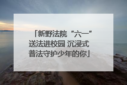 新野法院“六一”送法进校园 沉浸式普法守护少年的你