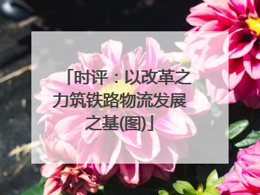 时评：以改革之力筑铁路物流发展之基(图)