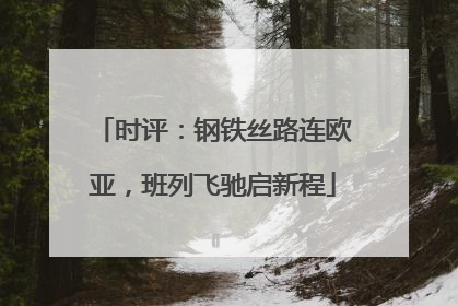 时评：钢铁丝路连欧亚，班列飞驰启新程