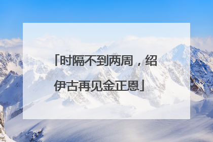 时隔不到两周，绍伊古再见金正恩