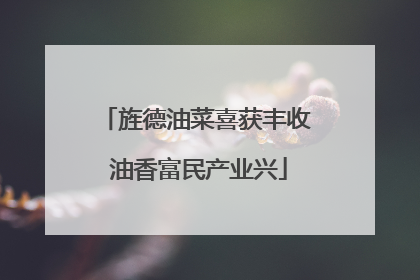 旌德油菜喜获丰收 油香富民产业兴