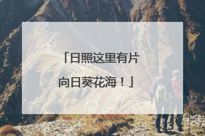 日照这里有片向日葵花海！