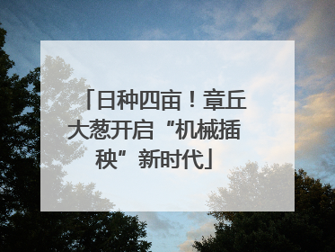 日种四亩！章丘大葱开启“机械插秧”新时代