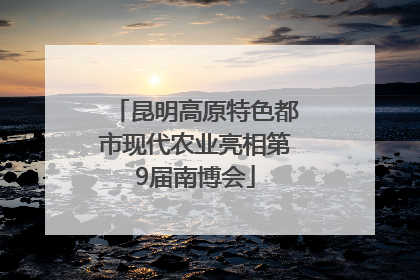 昆明高原特色都市现代农业亮相第9届南博会