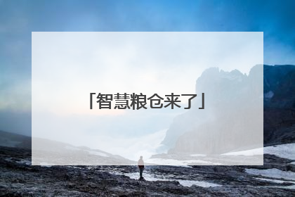 智慧粮仓来了