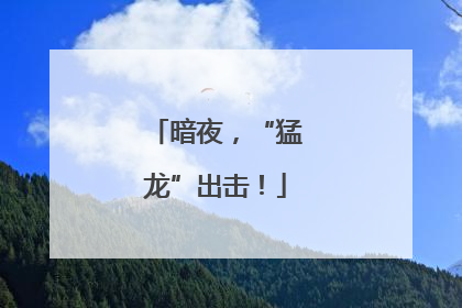 暗夜，“猛龙”出击！