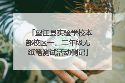 望江县实验学校本部校区一、二年级无纸笔测试活动侧记
