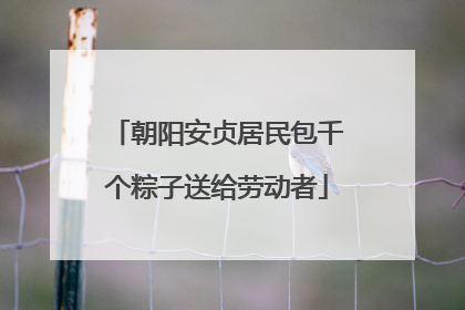 朝阳安贞居民包千个粽子送给劳动者
