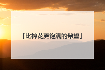 比棉花更饱满的希望