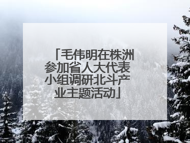 毛伟明在株洲参加省人大代表小组调研北斗产业主题活动