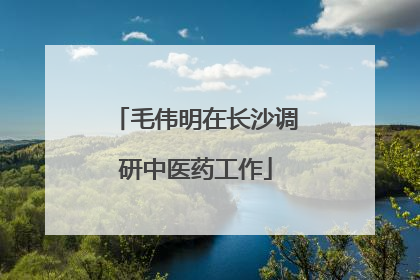 毛伟明在长沙调研中医药工作