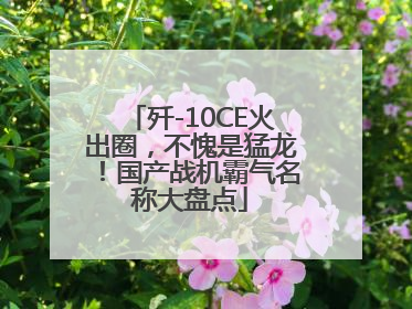 歼-10CE火出圈，不愧是猛龙！国产战机霸气名称大盘点