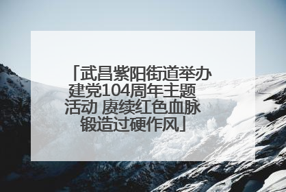 武昌紫阳街道举办建党104周年主题活动 赓续红色血脉锻造过硬作风