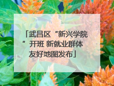武昌区“新兴学院”开班 新就业群体友好地图发布