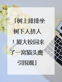 树上排排坐 树下人挤人！厦大校园来了一窝猫头鹰引围观