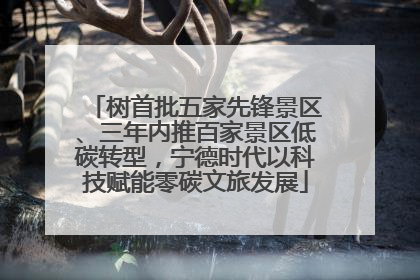 树首批五家先锋景区、三年内推百家景区低碳转型，宁德时代以科技赋能零碳文旅发展