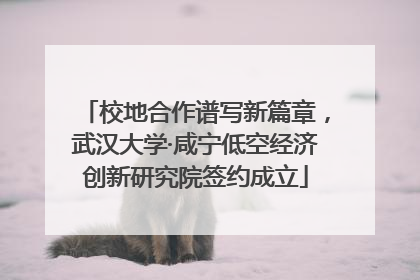校地合作谱写新篇章，武汉大学·咸宁低空经济创新研究院签约成立