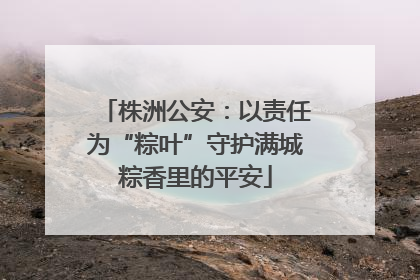 株洲公安：以责任为“粽叶”守护满城粽香里的平安