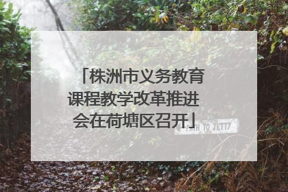 株洲市义务教育课程教学改革推进会在荷塘区召开