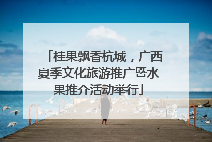 桂果飘香杭城，广西夏季文化旅游推广暨水果推介活动举行