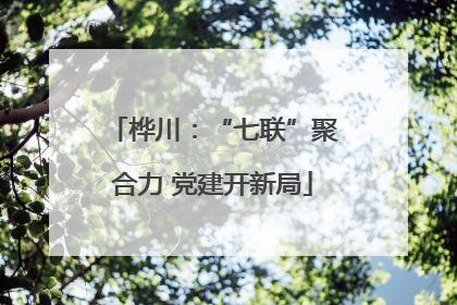 桦川：“七联”聚合力 党建开新局