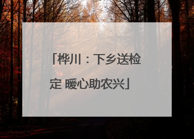 桦川：下乡送检定 暖心助农兴