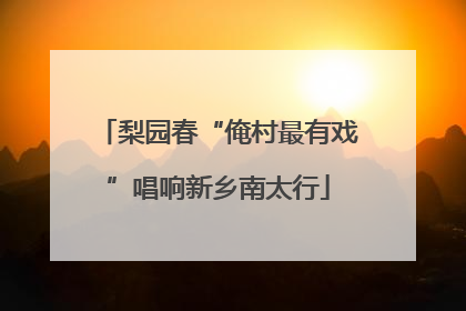 梨园春“俺村最有戏”唱响新乡南太行
