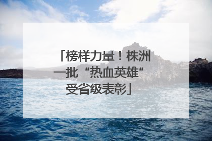 榜样力量！株洲一批“热血英雄”受省级表彰