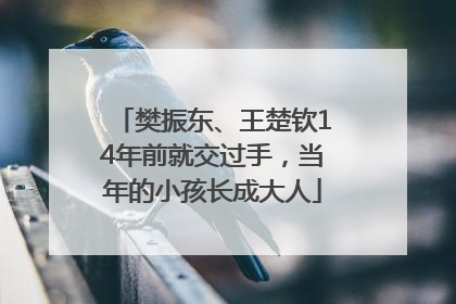 樊振东、王楚钦14年前就交过手，当年的小孩长成大人
