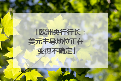 欧洲央行行长：美元主导地位正在变得不确定