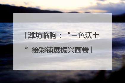 潍坊临朐：“三色沃土”绘彩铺展振兴画卷
