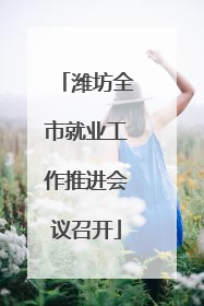 潍坊全市就业工作推进会议召开