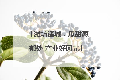 潍坊诸城：瓜甜葱郁处 产业好风光
