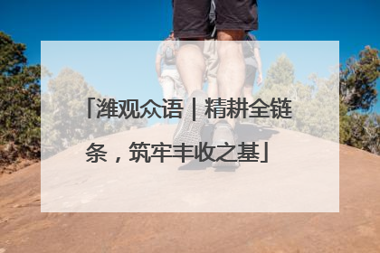 潍观众语｜精耕全链条，筑牢丰收之基