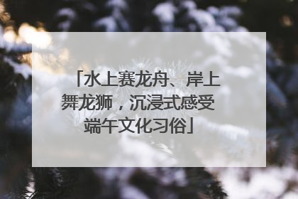 水上赛龙舟、岸上舞龙狮，沉浸式感受端午文化习俗