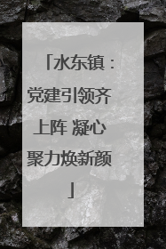 水东镇：党建引领齐上阵 凝心聚力焕新颜