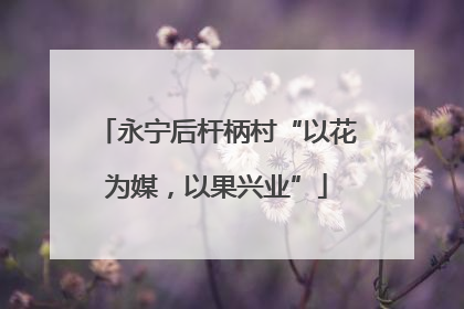 永宁后杆柄村“以花为媒，以果兴业”