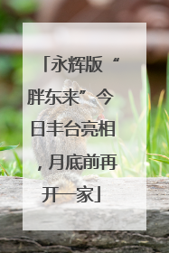 永辉版“胖东来”今日丰台亮相，月底前再开一家