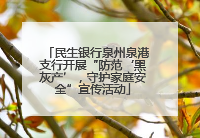 民生银行泉州泉港支行开展“防范‘黑灰产’，守护家庭安全”宣传活动