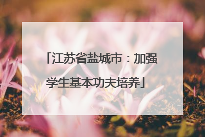 江苏省盐城市：加强学生基本功夫培养