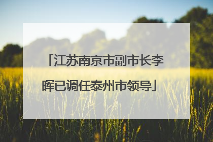 江苏南京市副市长李晖已调任泰州市领导