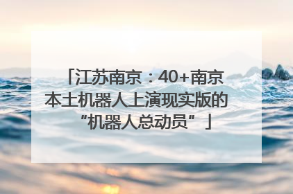 江苏南京：40+南京本土机器人上演现实版的“机器人总动员”