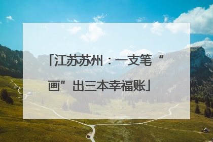 江苏苏州：一支笔“画”出三本幸福账