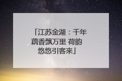 江苏金湖：千年藕香飘万里 荷韵悠悠引客来