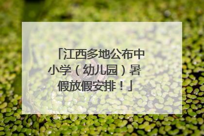 江西多地公布中小学（幼儿园）暑假放假安排！