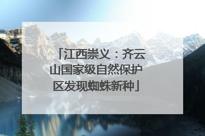 江西崇义：齐云山国家级自然保护区发现蜘蛛新种